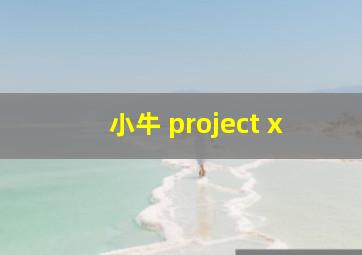 小牛 project x